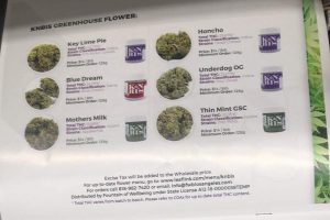 Old catalog pages for cannabis company