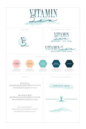 Style guide for Vitamin Sea branding project